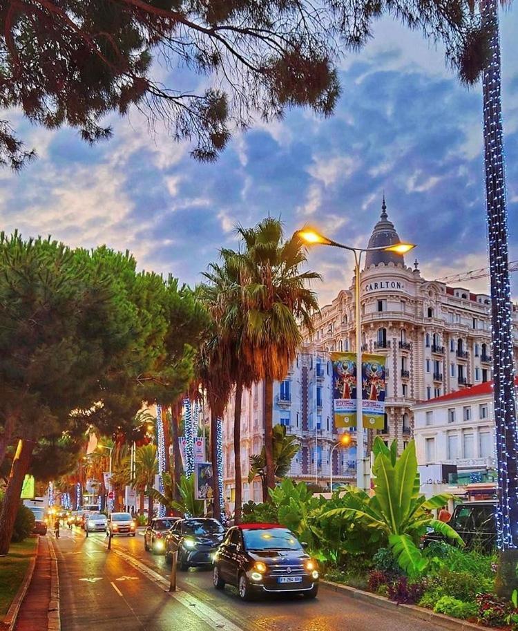 Superbe Studio Proche Palais Et Plages A Pieds Cannes Eksteriør bilde